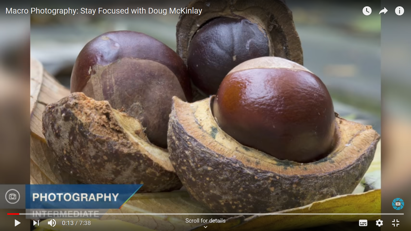 Photo: Doug Mckinlay youtube screenshot