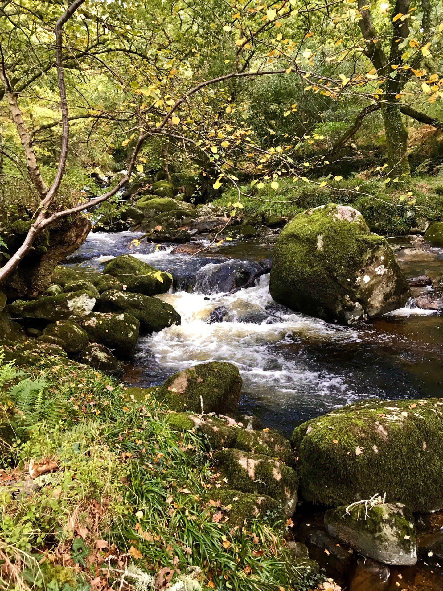 Photo of Shaugh Prior by Derek Smith a waterfall on the edge of dartmoor