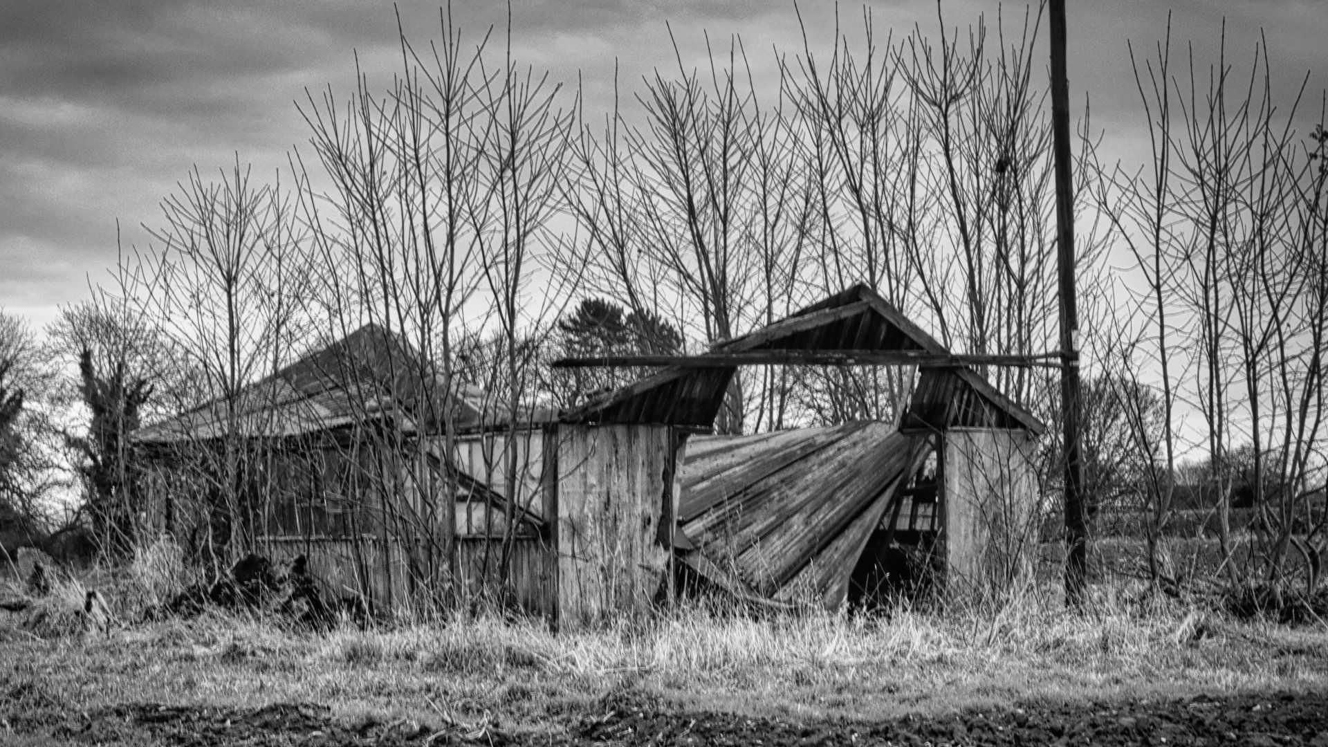a derelict shed in monochrome