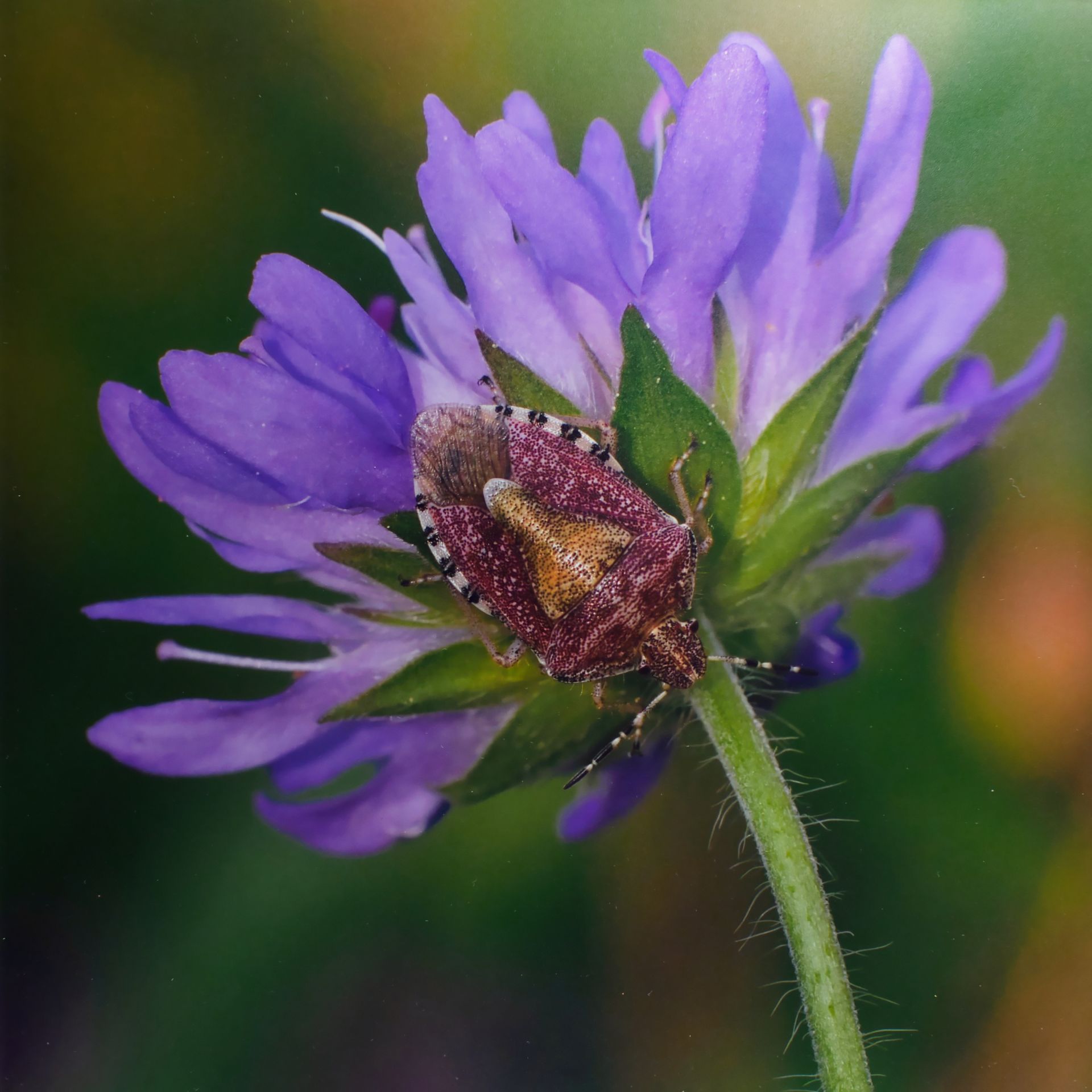 a man riding to work on a motor scooter