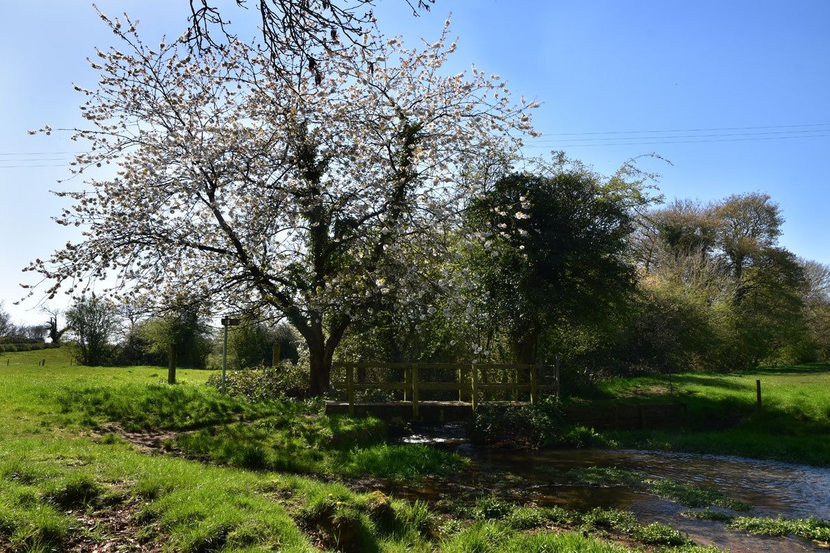 Spring at Tealby by Graham Harrison a spring scene landscape at Tealby