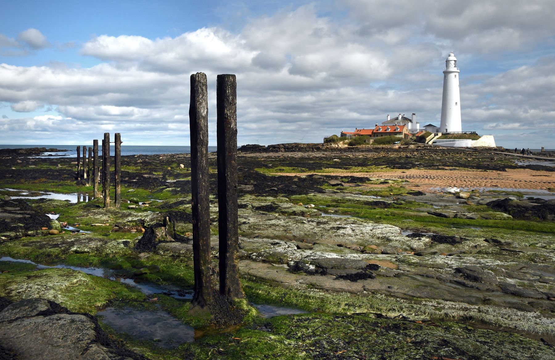 Lighthouse and Groins