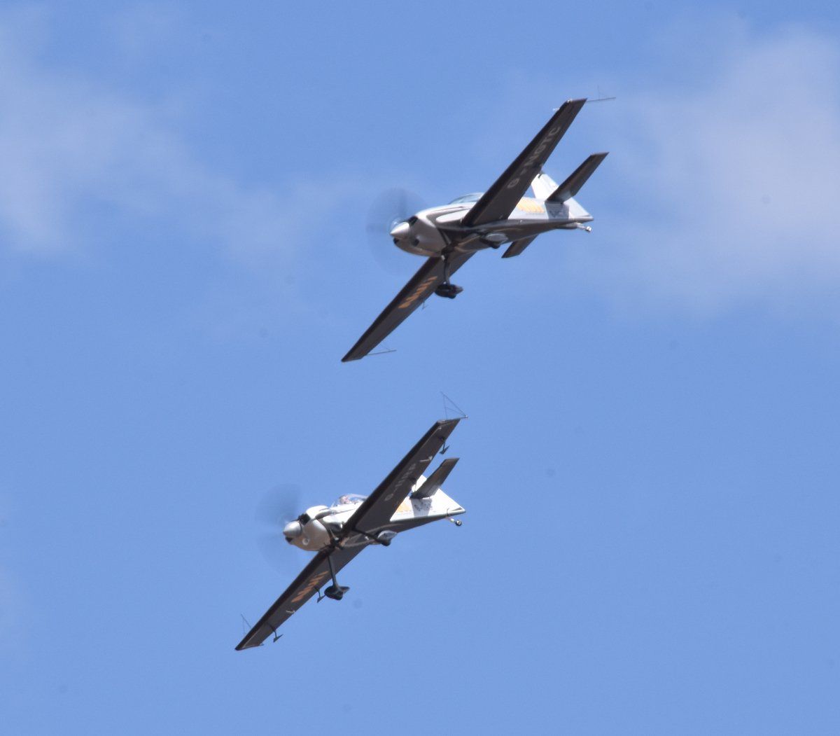 the starling air display team at cleethorpes armed forces day