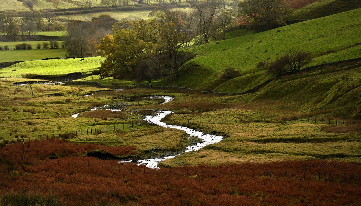 Stream in the Dales by Graham Harrison A stream in the Dales