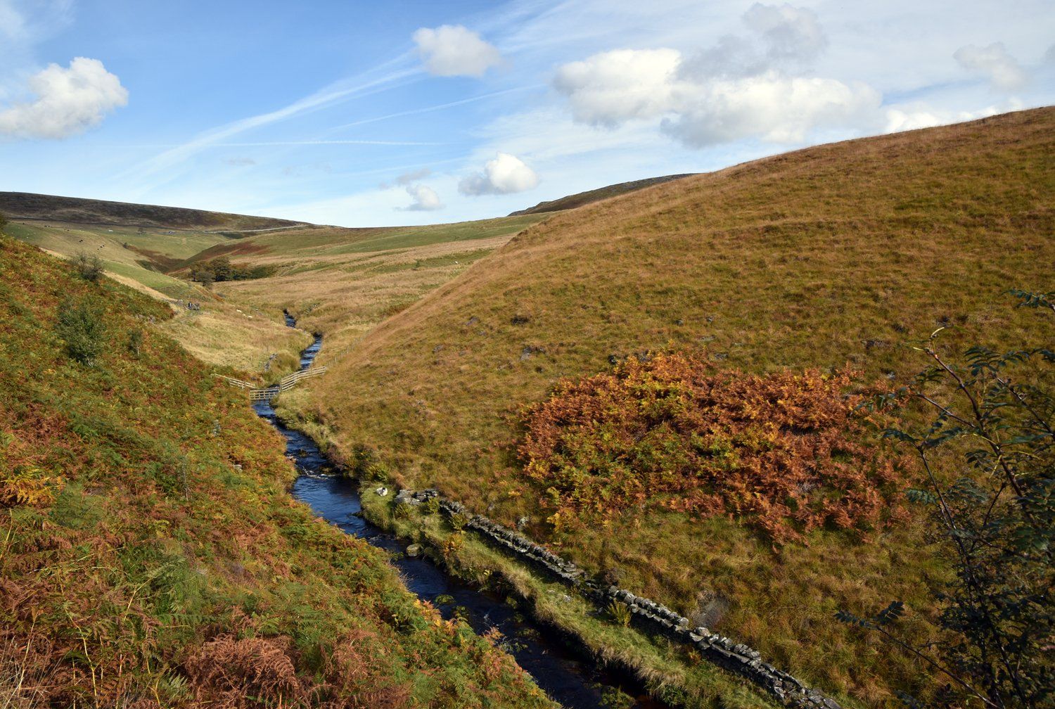 a stream near buxton