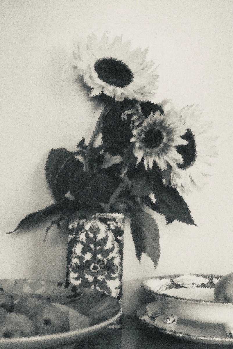 a stylised image of a sunflower