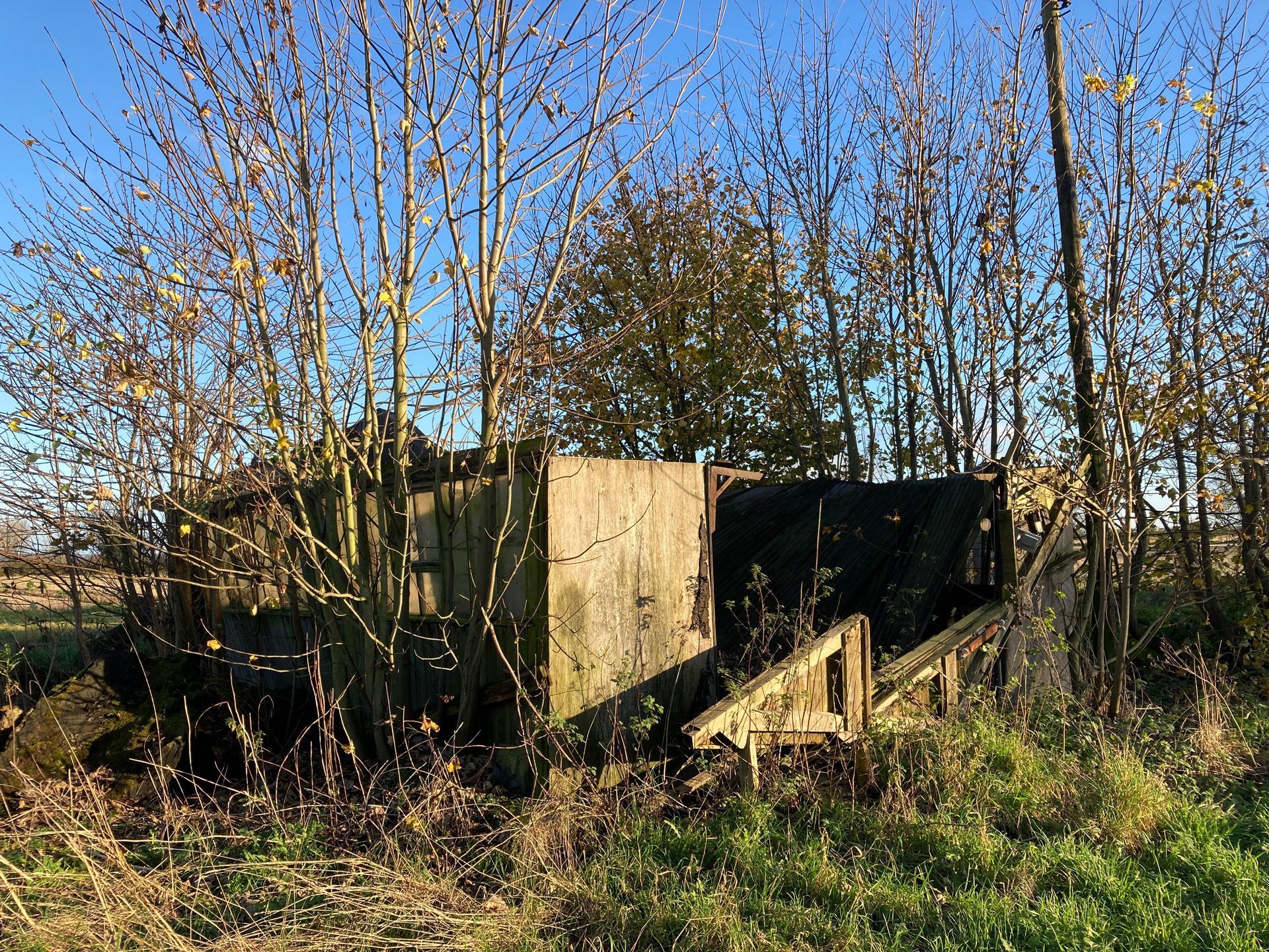 a derelict shed in a field