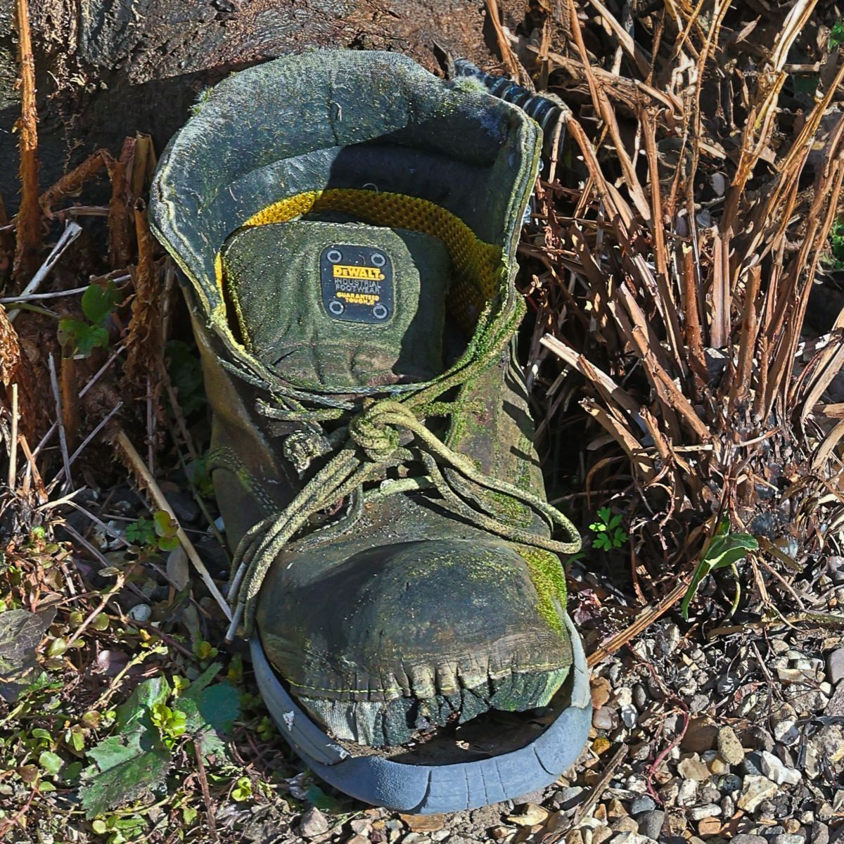 An old weather beaten boot in a garden