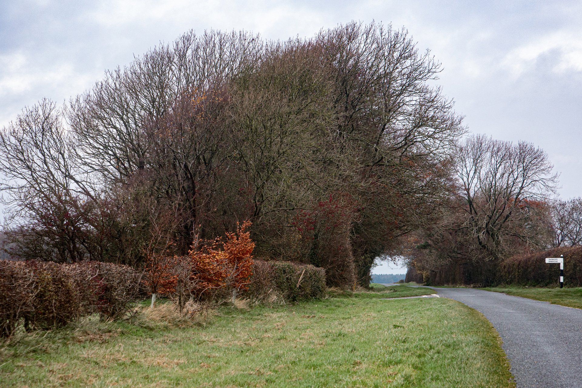 the road to ravendale