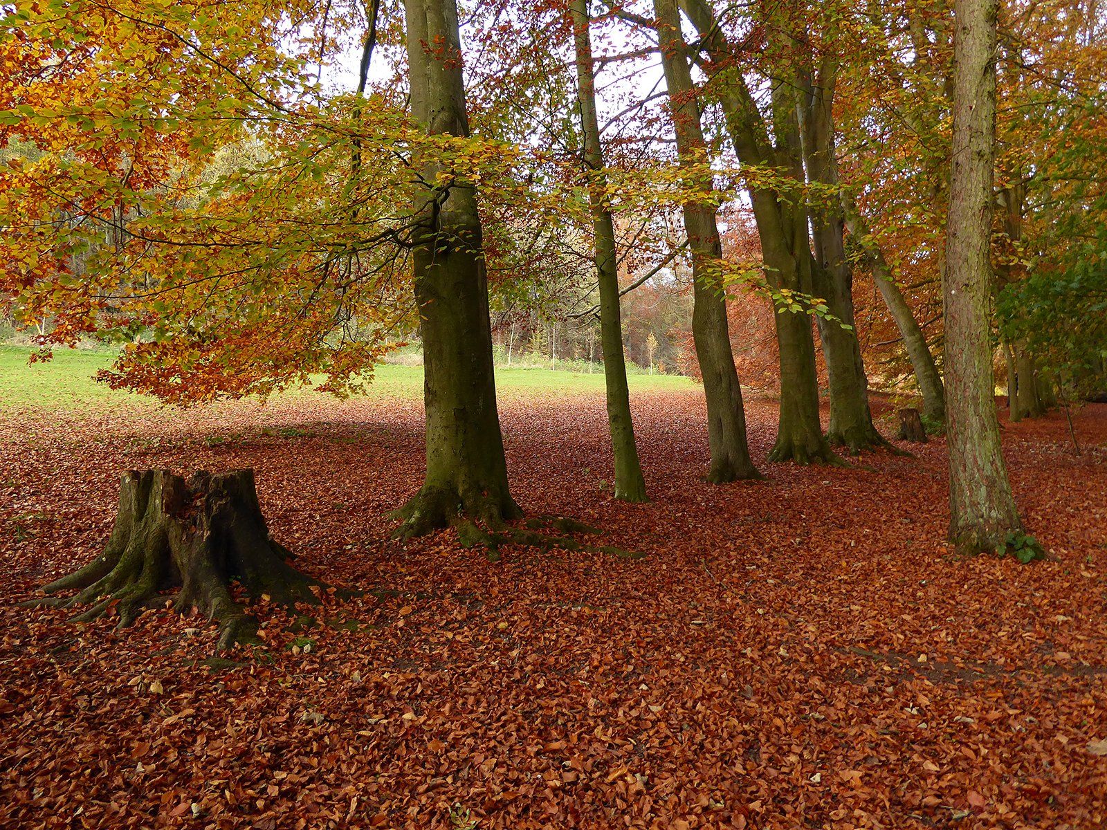 autumn scenes around hubbards hills in louth lincolnshire