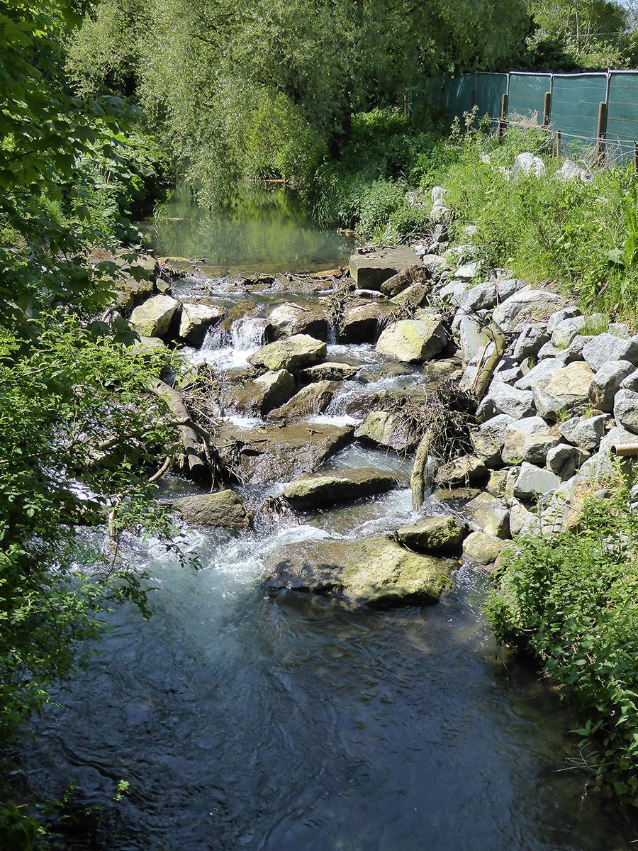 The site of a canal lock on the Louth Canal