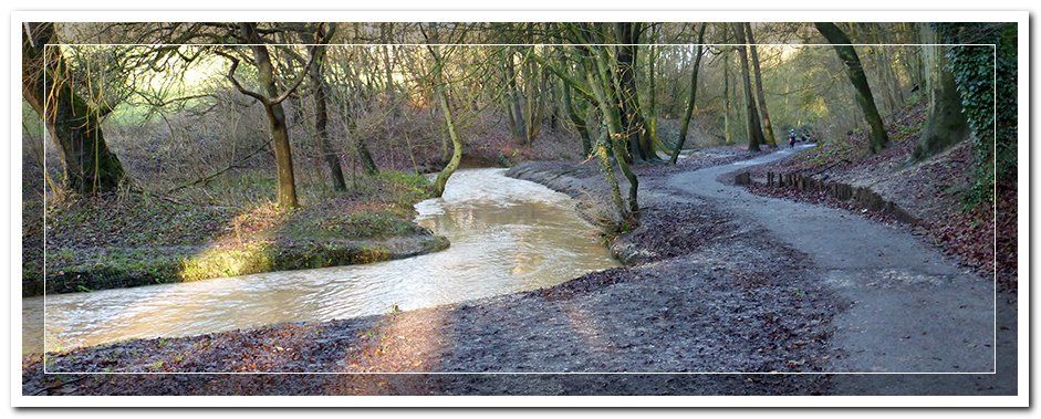 a meandering stream and road