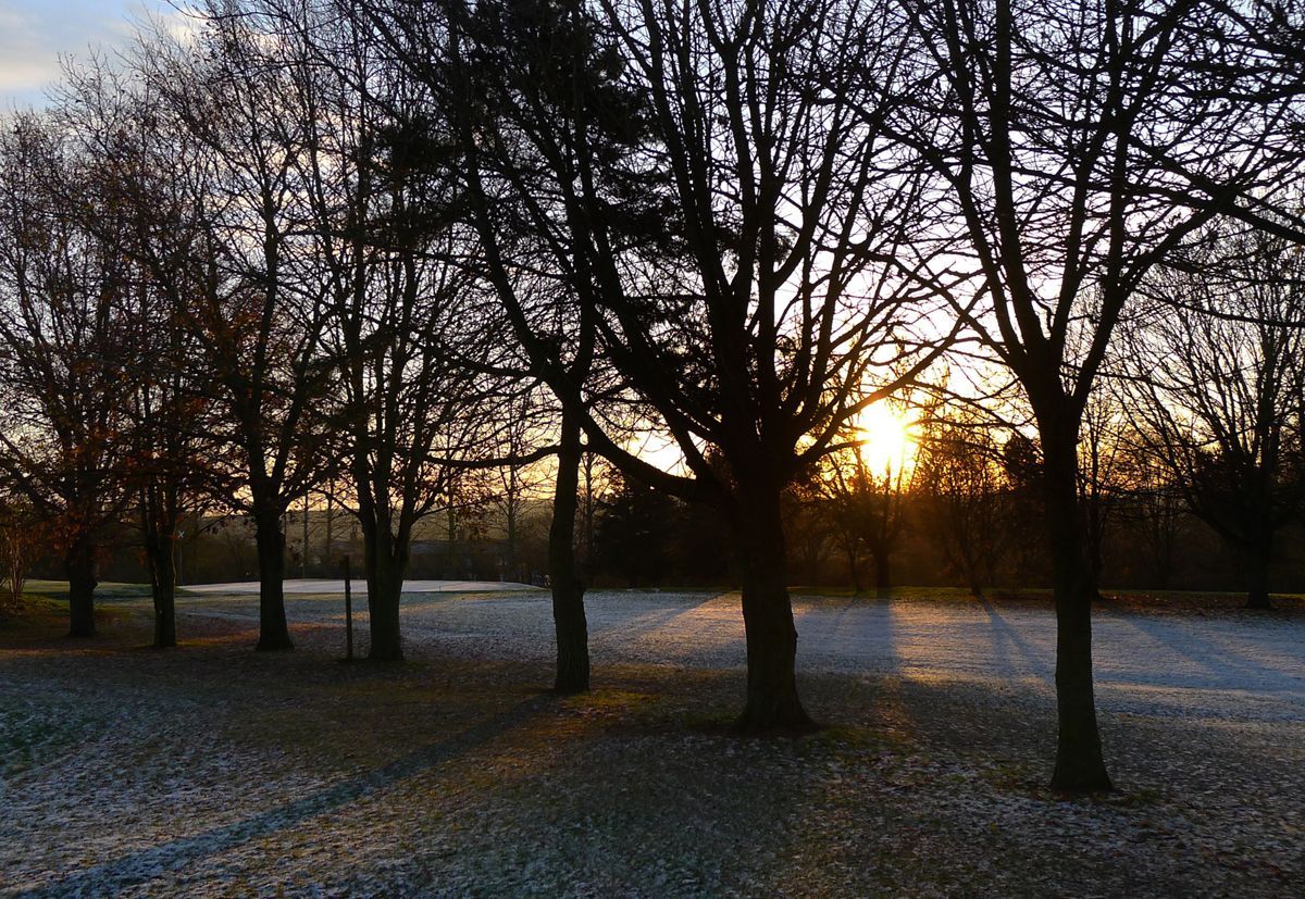 Winter Sun by Graham Harrison the winter sun peeking through the trees
