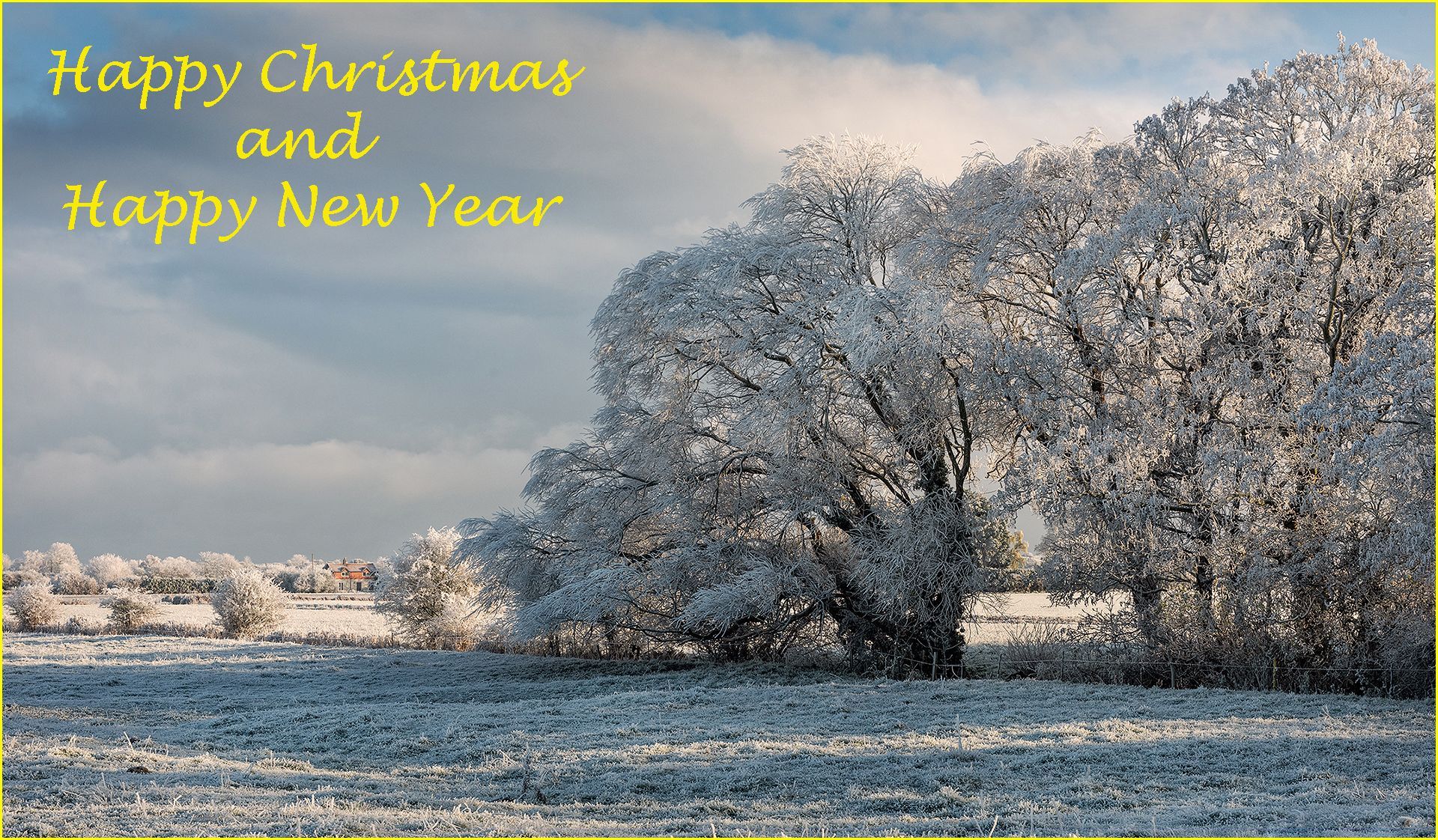 a frosty winter scene