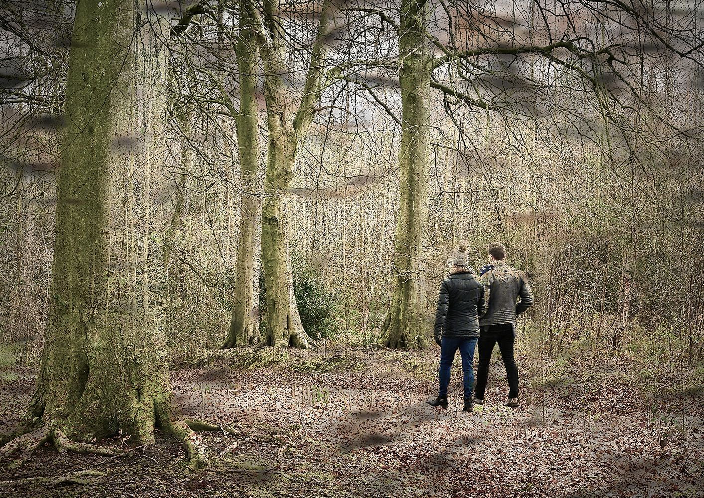 creative woodland scenes