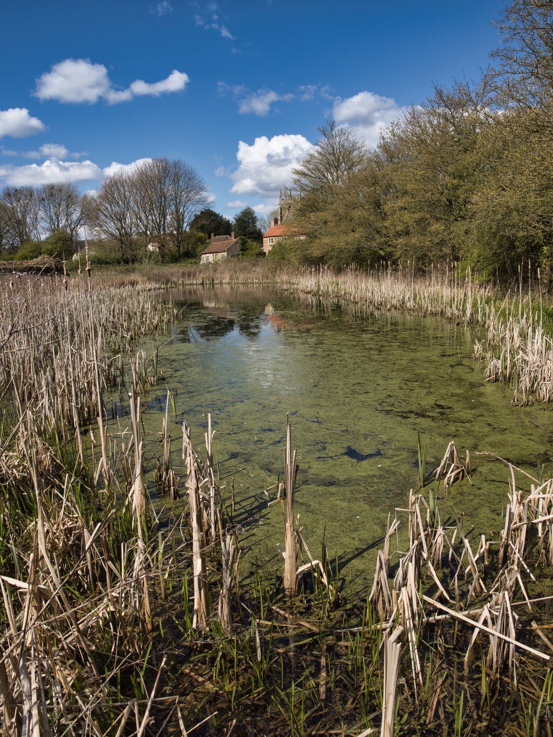 photos around bolingbroke castle