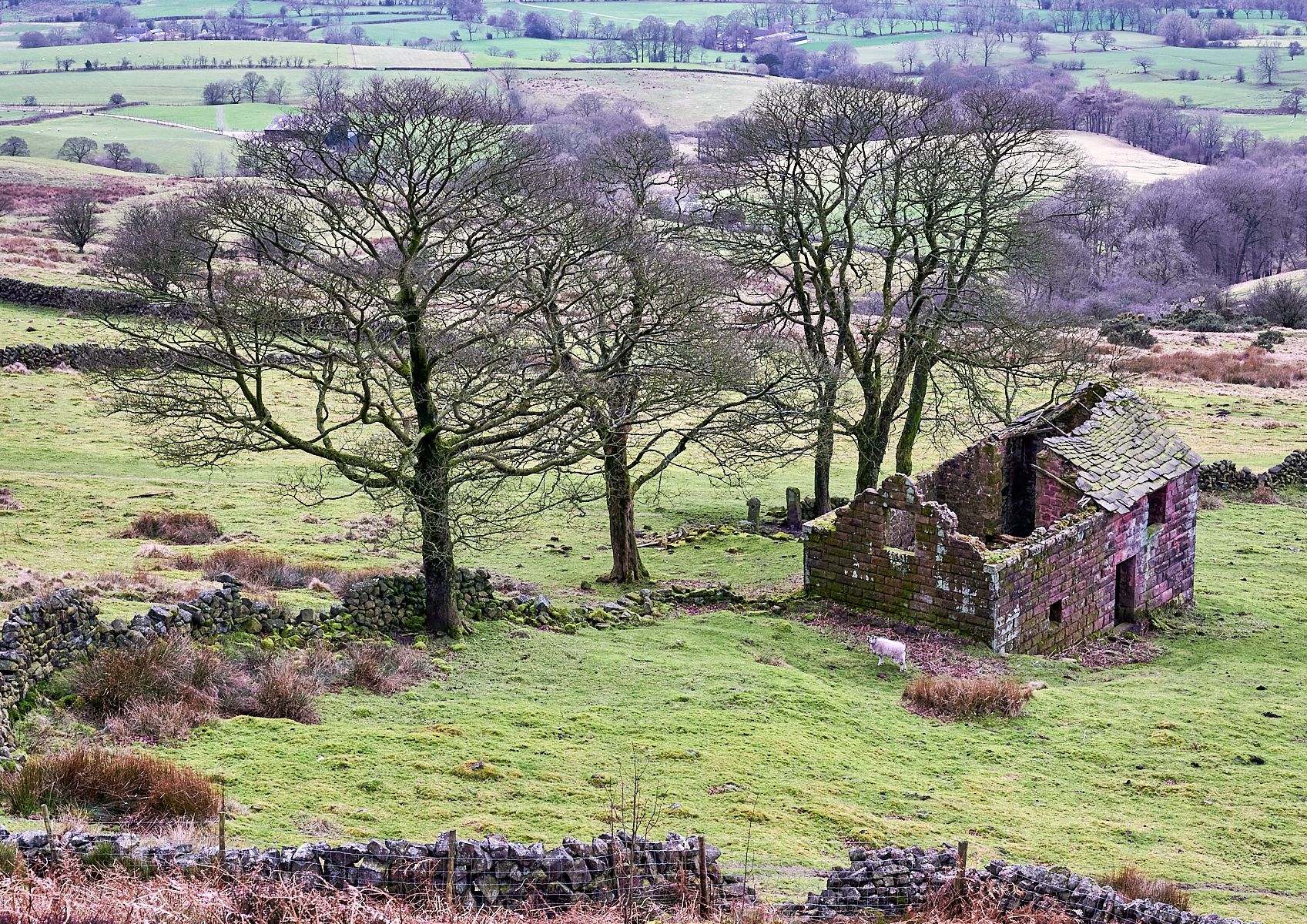 a view over the dales