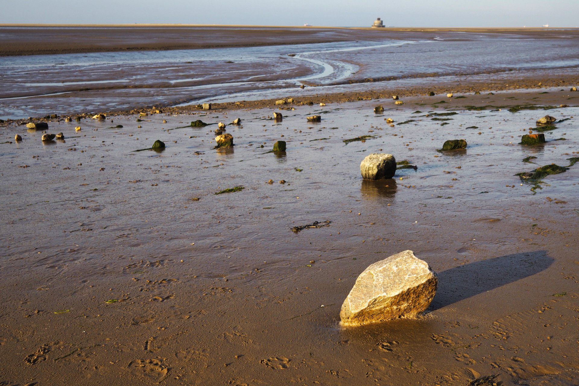 rocks on a wet beach