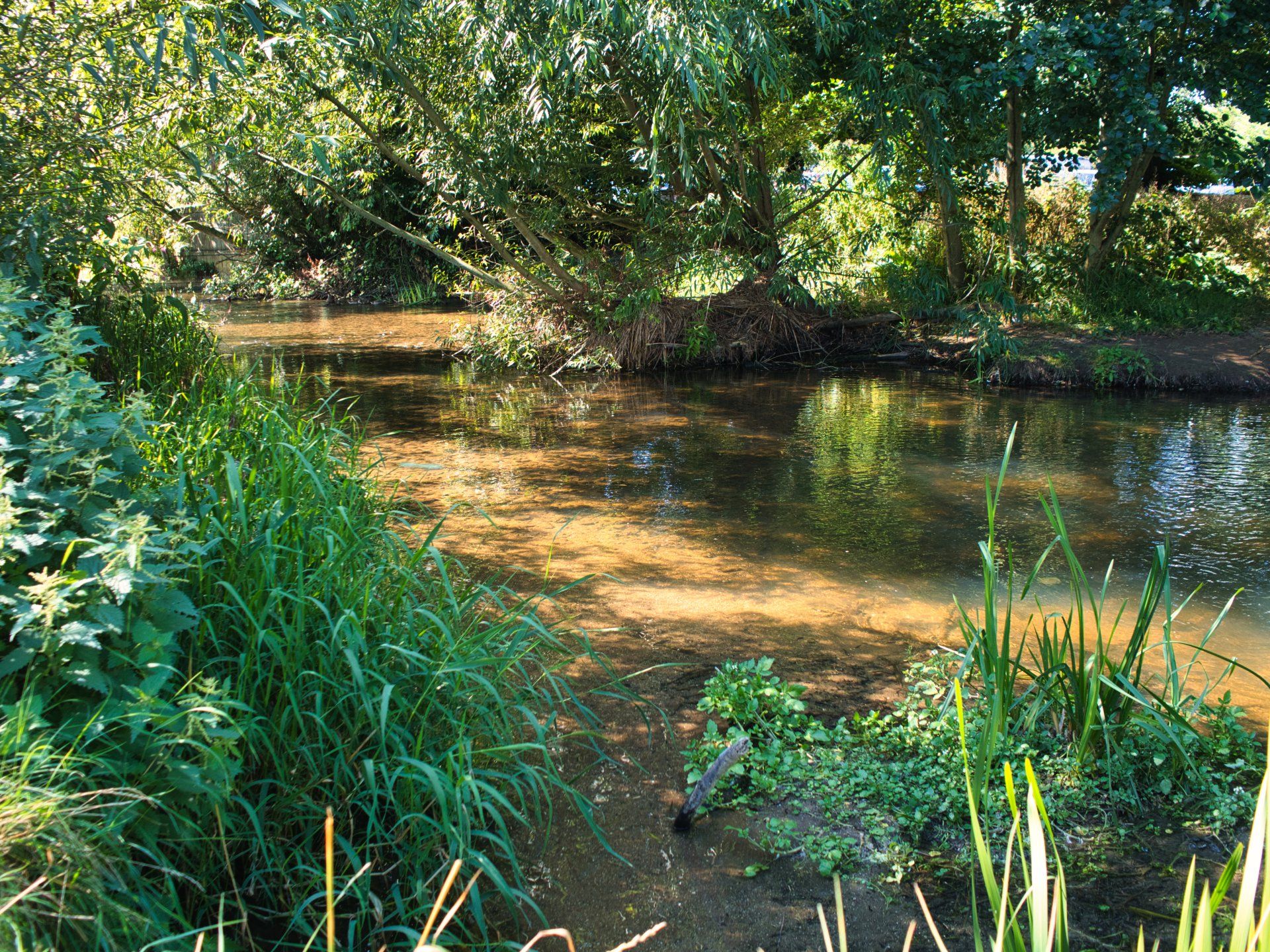 river bain through horncastle