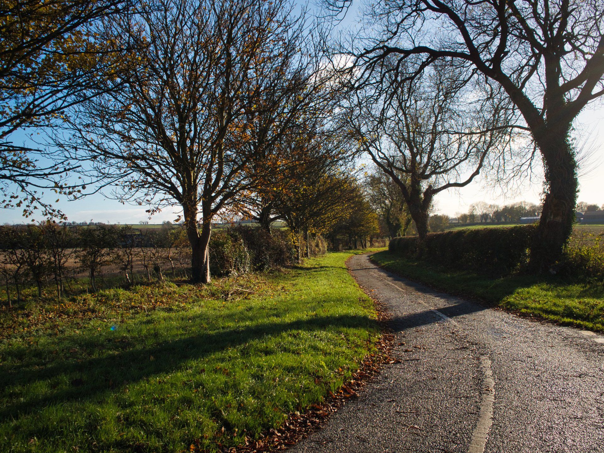 a winding road on the viking way footpath