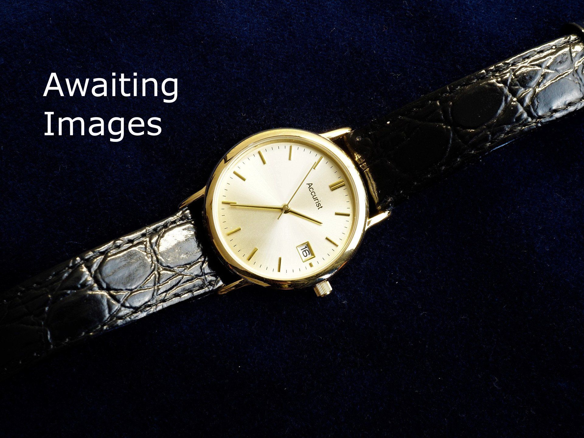 a view of two old trees on the horizon