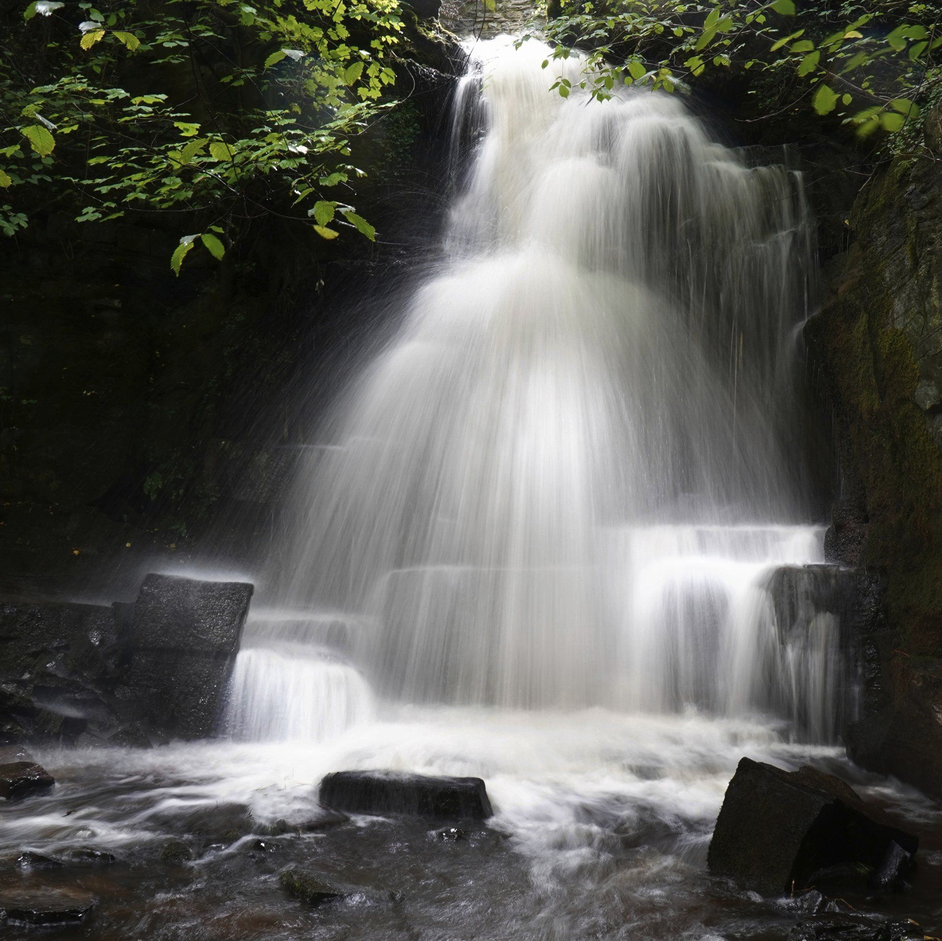 Photo by: Graham Elvidge harmby falls