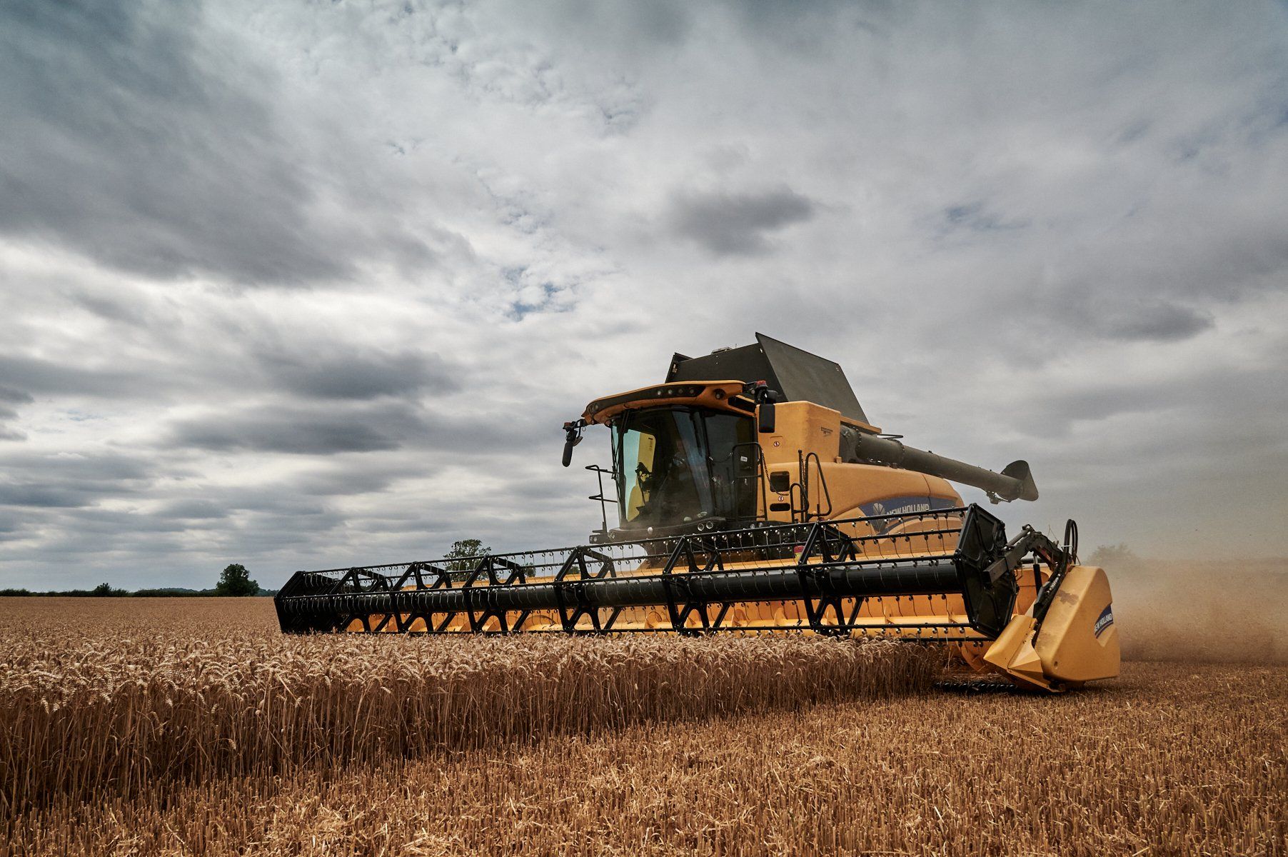 a pocket watch photo showing all the internal works