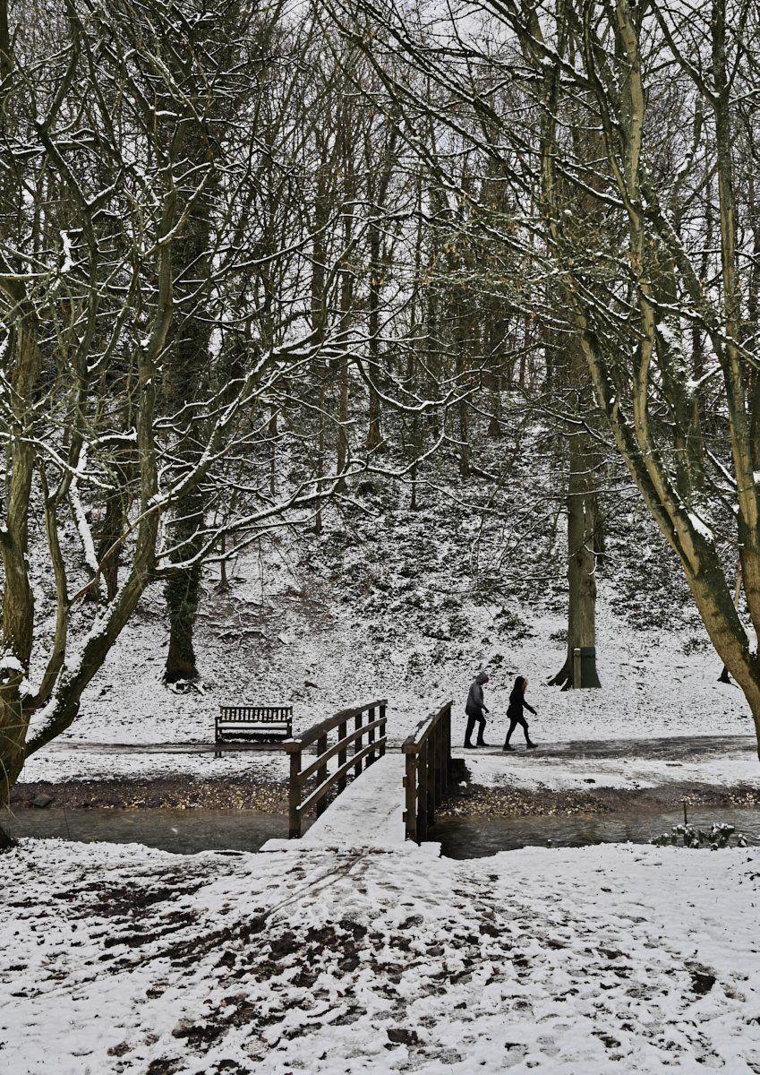 a winter walk through hubbards hills
