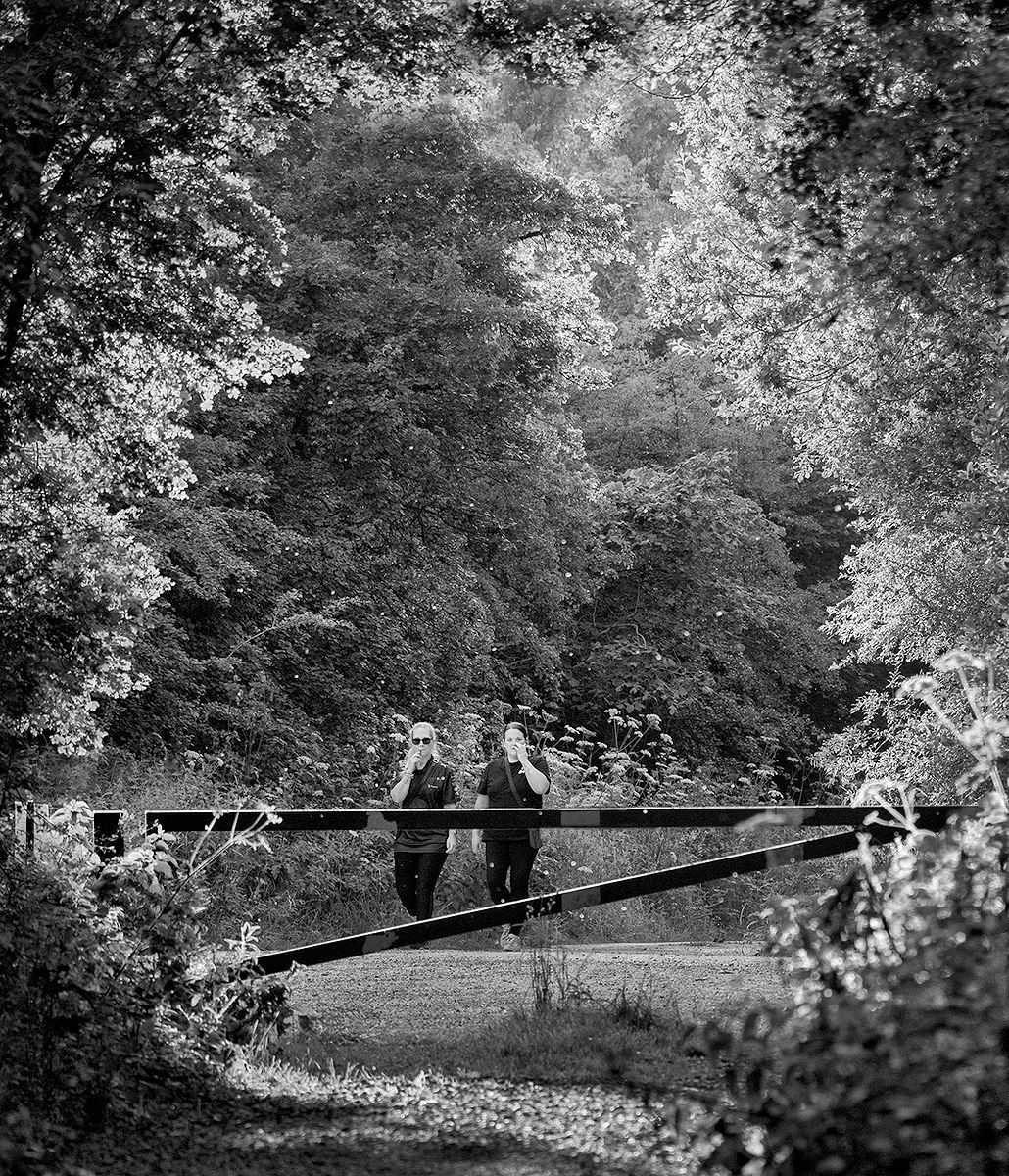 A monochrome view of the entrance to Chambers Farm Woods