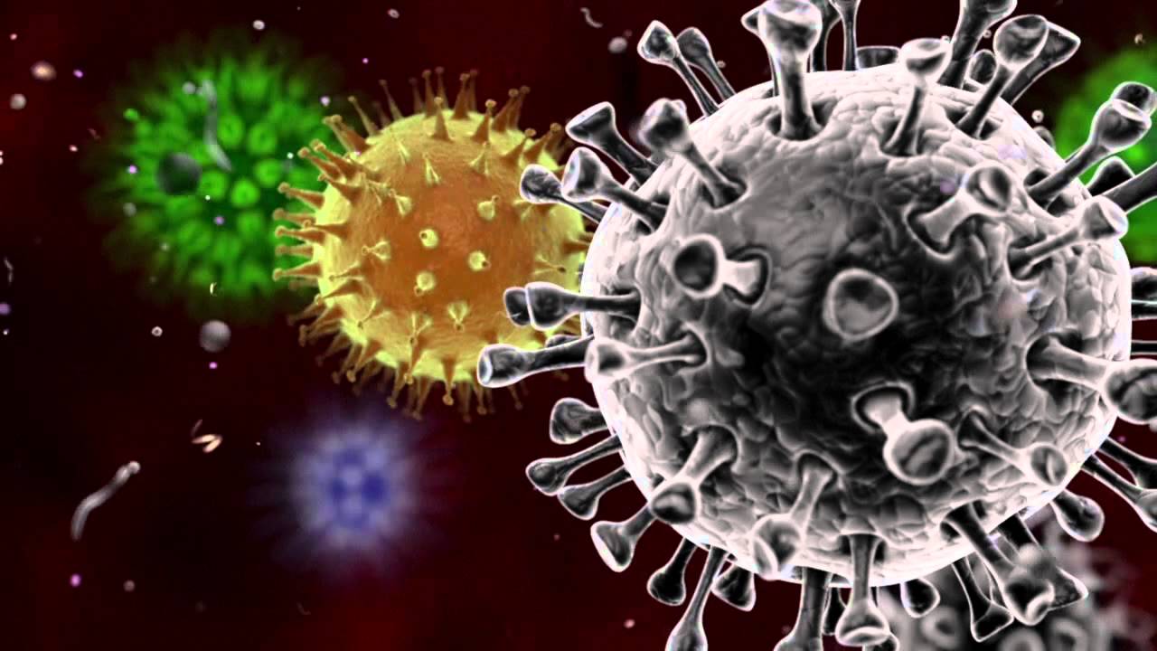 Coronavirus coronavirus