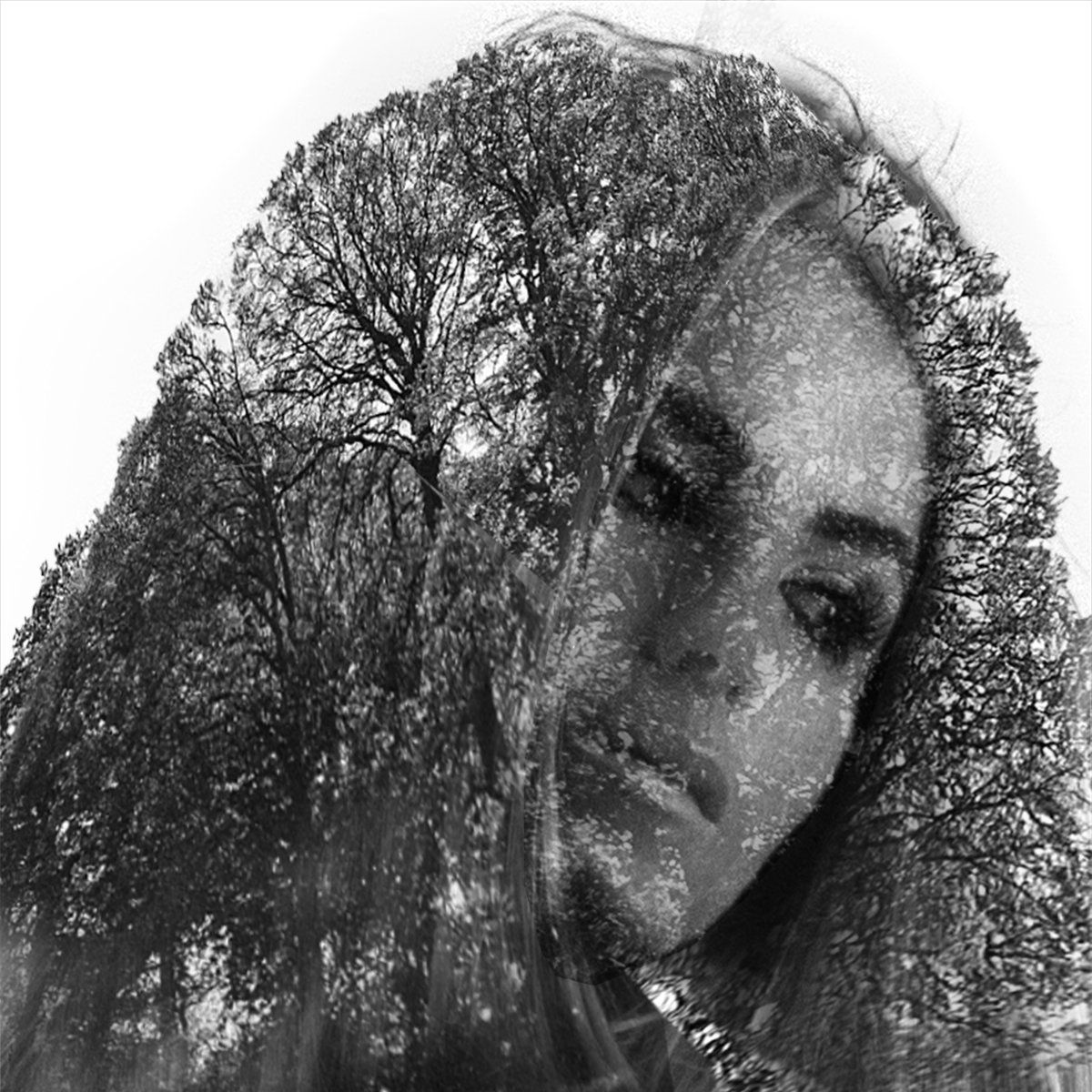 a composition image of a tree superimposed on a womans faceface,