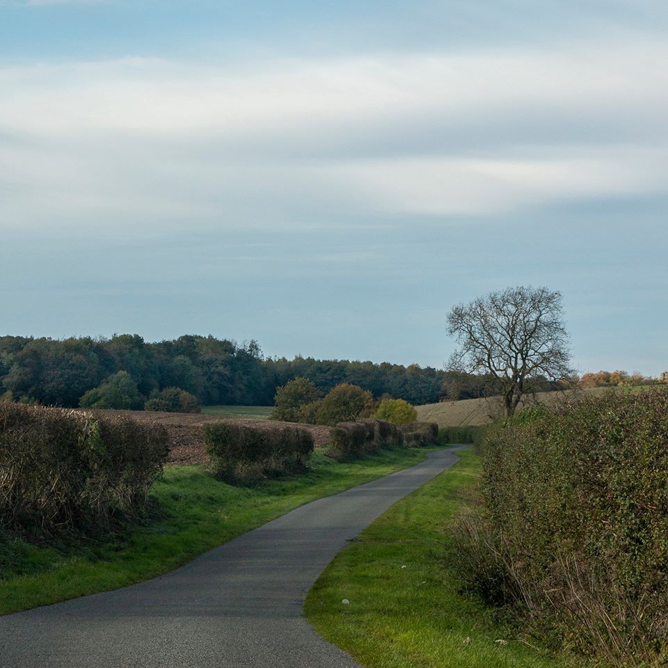 Photo by: Ian Jackson a lincolnshire lane