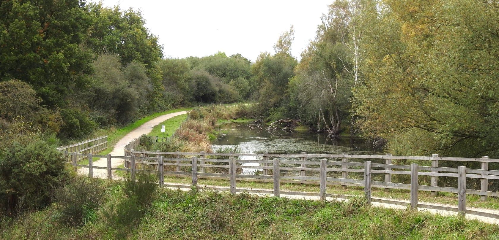 autumn in the whisby nature park
