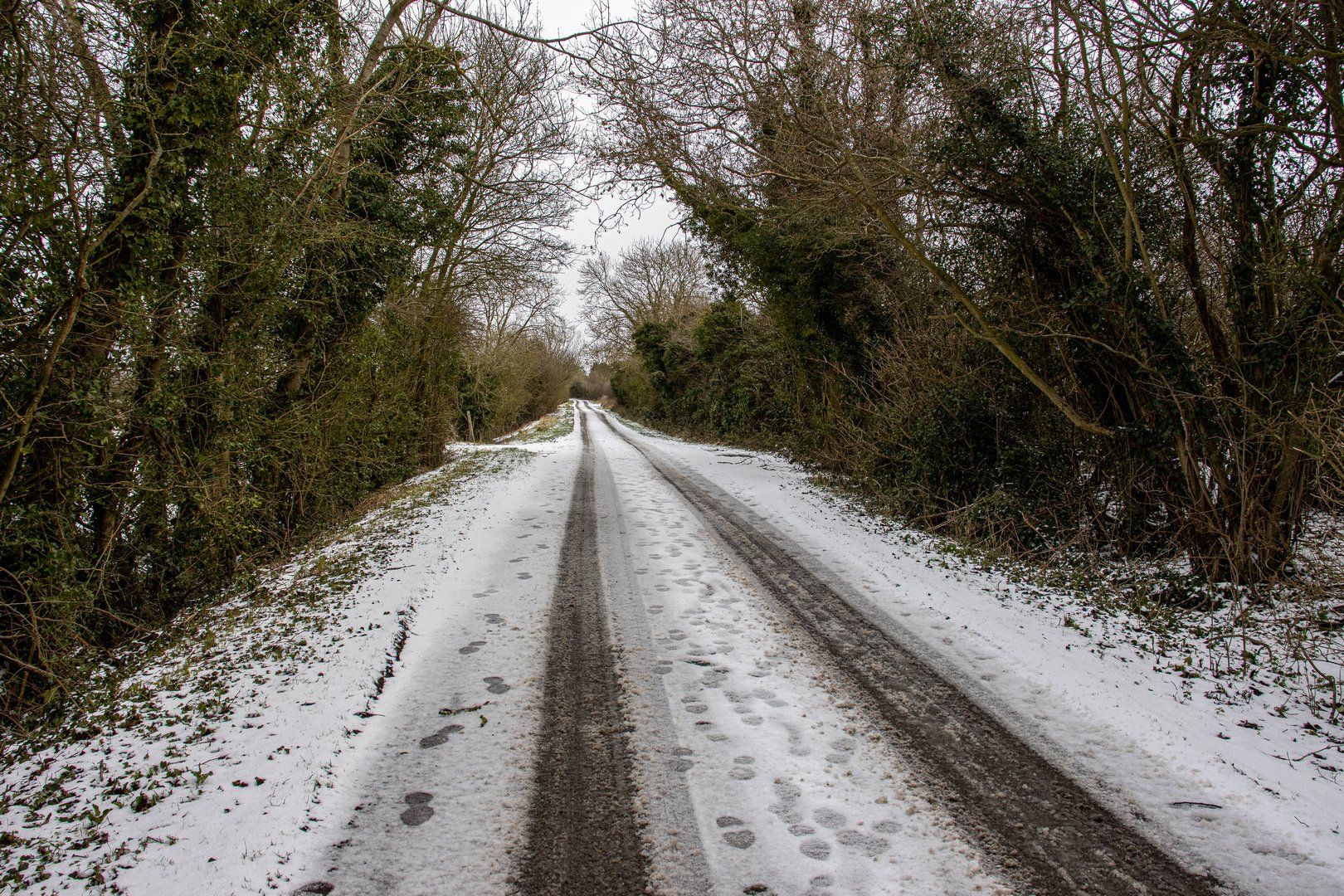 Stewton Lane by Harry Kerman a snowy lane between the trees