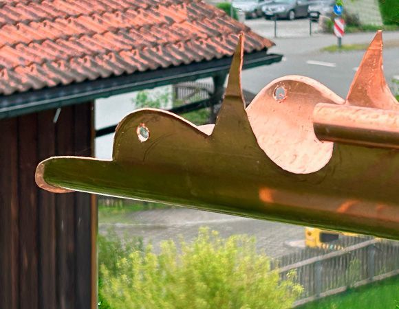 Drachen-Speier: ein echter HIngucker