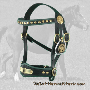 Zierzaum Rauris mit Backstücken, Foto August Aust Zierzaum Rauris mit Backstücken, Foto August Aust