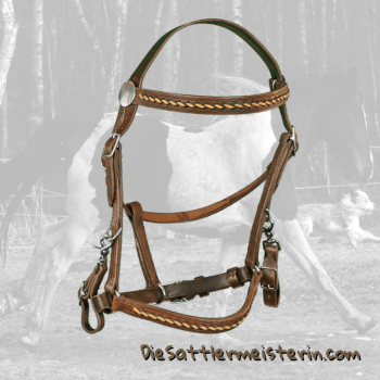 Wanderreitzaum Modell Golegã. Foto August Aust Wanderreitzaum Modell Golegã. Foto August Aust