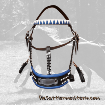 Wanderreitzaum, blau - weiß. Foto August Aust Wanderreitzaum, blau - weiß. Foto August Aust