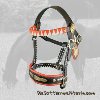 Reit und Fahrzaum. Foto August Aust Reit und Fahrzaum. Foto August Aust