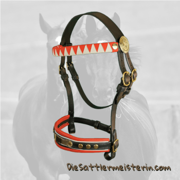 Reit und Fahrzaum. Foto August Aust Reit und Fahrzaum. Foto August Aust