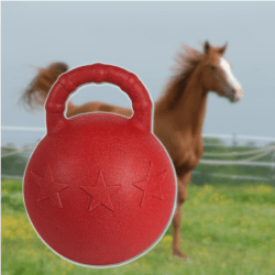Fun Ball von Waldhausen. Foto: August Aust Fun Ball von Waldhausen. Foto: August Aust