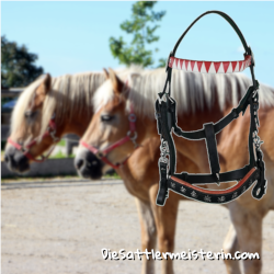 Wanderreitzaum für Haflinger mit Edelweiß. Foto: August Aust Wanderreitzaum für Haflinger mit Edelweiß. Foto: August Aust