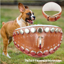 Hundehalsband. Foto: August Aust Hundehalsband. Foto: August Aust