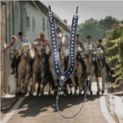 Vorderzeug mit Knöpfen für Noriker. Foto: August Aust Vorderzeug mit Knöpfen für Noriker. Foto: August Aust