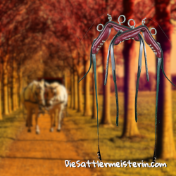 Kammdeckelpaar für Zweispänner Brustblattgeschirr. Foto: August Aust Kammdeckelpaar für Zweispänner Brustblattgeschirr. Foto: August Aust