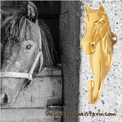 Garderobenhaken oder Trensenhaken. Foto: August Aust Garderobenhaken oder Trensenhaken. Foto: August Aust