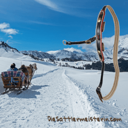 Sprenggurt für Noriker. Foto: August Aust Sprenggurt für Noriker. Foto: August Aust