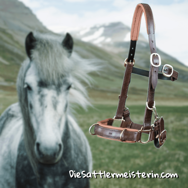 Marie Luise mit den fertiggestellten 10 Prunklongiergurten Kappzaum mit Ketteneinlage. Eine Erfindung der Sattlermeisterin