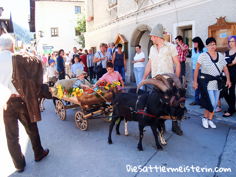 Kundenfotos Geschirre Kundenfotos Geschirre