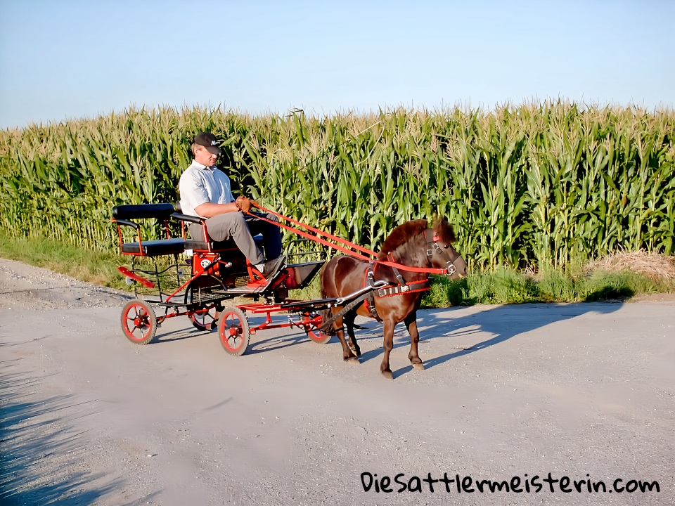 Kundenfotos Geschirre Kundenfotos Geschirre